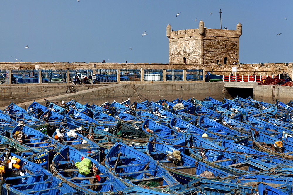 Fishing boats in the marina and the ancient Portuguese Citadel, Essaouira, Morocco