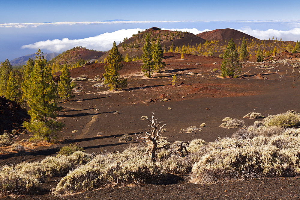 Caldera Landscape of Teide National Park, Tenerife, Spain