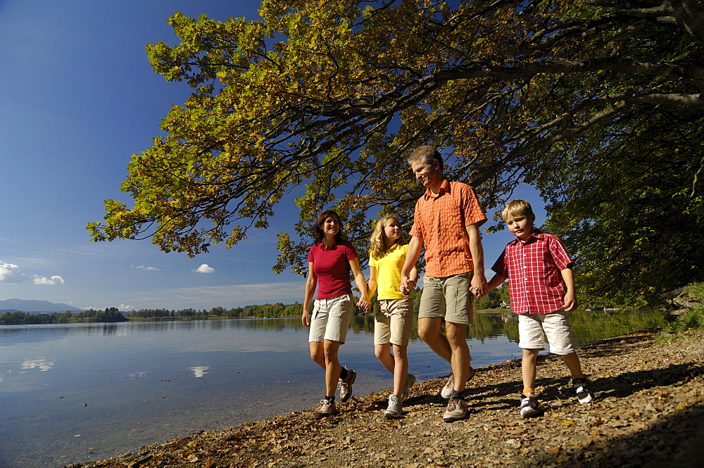 Family walking along the lake shore of Lake Saffelsee, Upper Bavaria, Bavaria, Germany