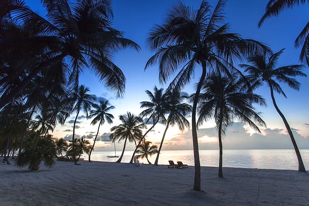 Beach at sunrise at Moorings Village Resort, Islamorada, Florida Keys, Florida, USA