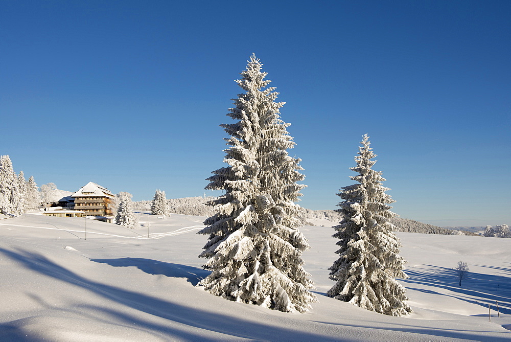 Snow covered trees and hotel Halde, Schauinsland, near Freiburg im Breisgau, Black Forest, Baden-Wuerttemberg, Germany