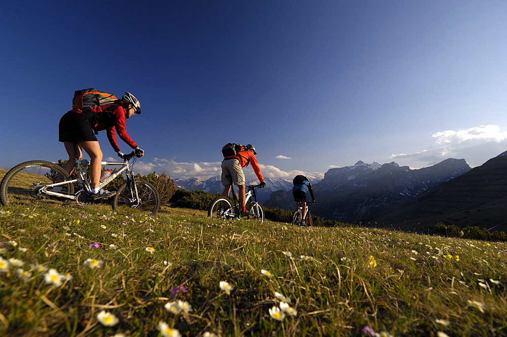 Two people on a mountain bike tour near Blaser, near Steinach am Brenner, Wipptal, Tyrol, Austria