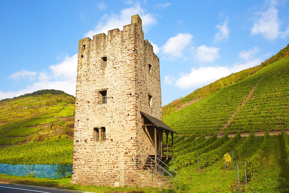 Ruin of a romanesque residential tower, Roman Wohnturm Hofgut Lehmen, Wine district, Ediger-Eller, Mosel, Rhineland-Palatinate, Germany, Europe