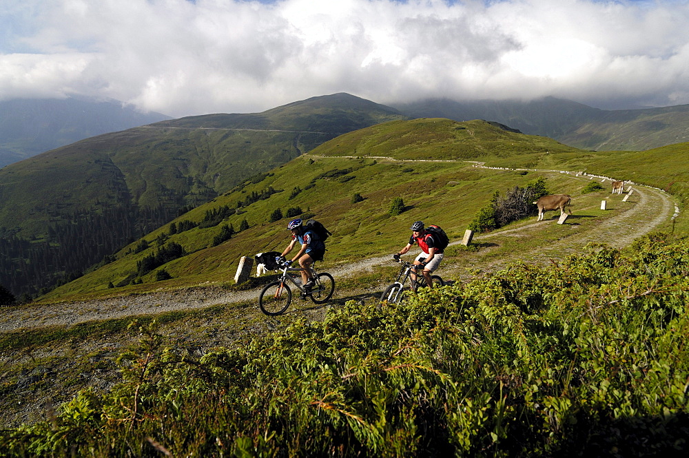 Two people on a mountain bike tour at Grenzkamm, Wipptal, Brenner, Tyrol, Austria