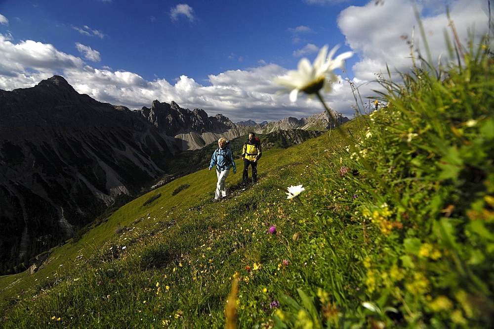 Couple hiking in the mountains, Tannheimer Mountains, Allgaeu Alps, Tirol, Austria, Europe