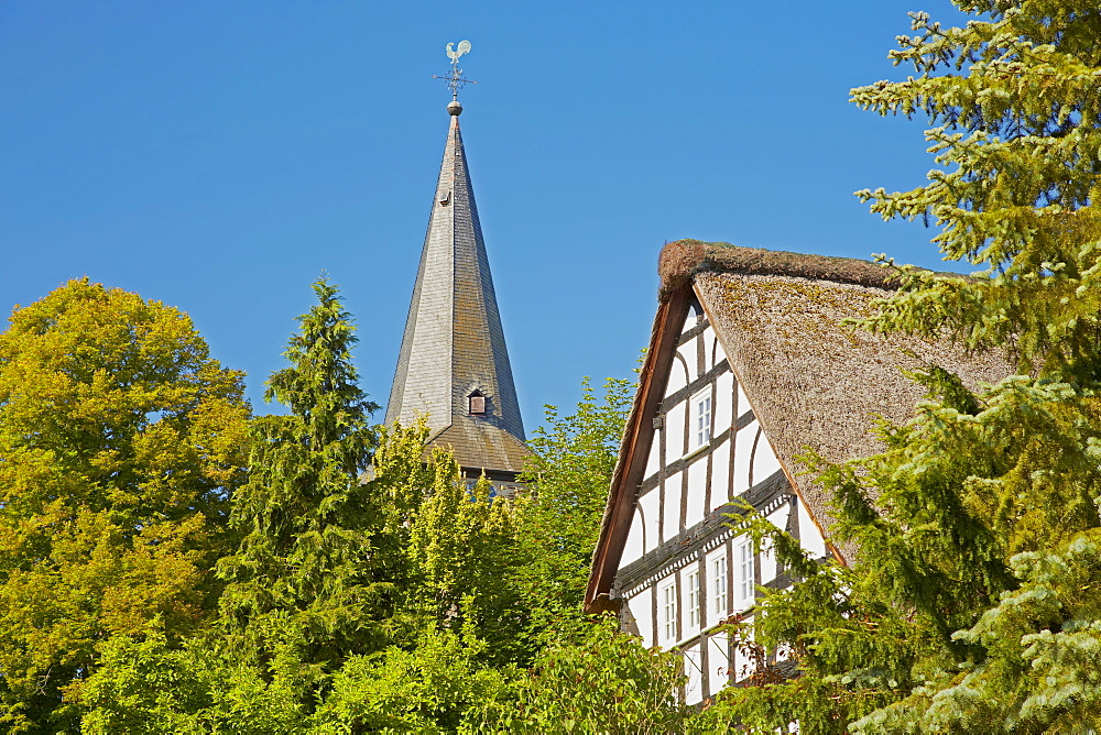 Church tower of the Roman church from about 1200 and thatched house at Mehren near Altenkirchen, Westerwald, Rhineland-Palatinate, Germany, Europe