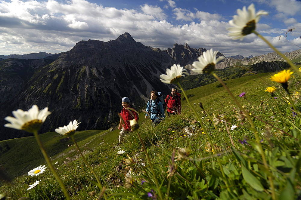 Family hiking in the mountains, Tannheimer Mountains, Allgaeu Alps, Tirol, Austria, Europe