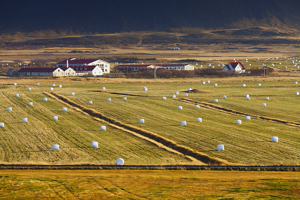 Bales of hay and fields near Brautarholt, West Iceland, Iceland