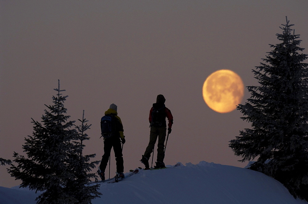 People on a ski tour at Hochgrat at full moon, Allgaeu Alps, Bavaria, Germany, Europe