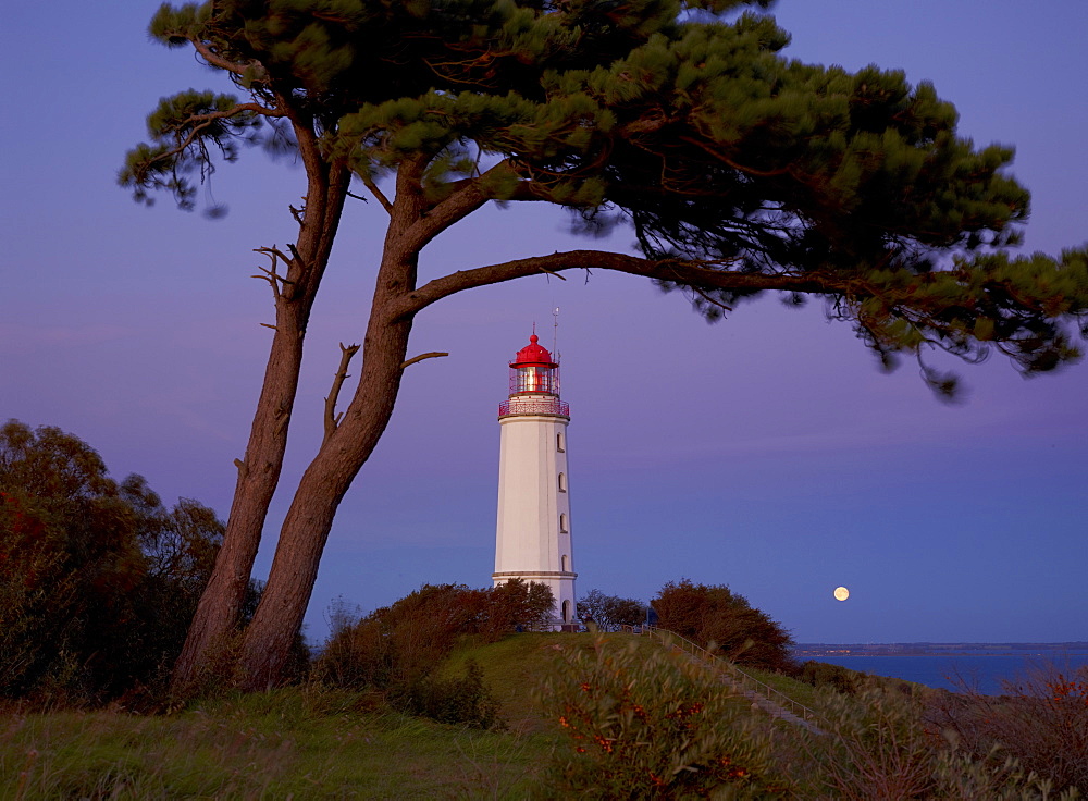 Lighthouse in the evening light, Hiddensee Island, Baltic coast, Mecklenburg-Western Pomerania