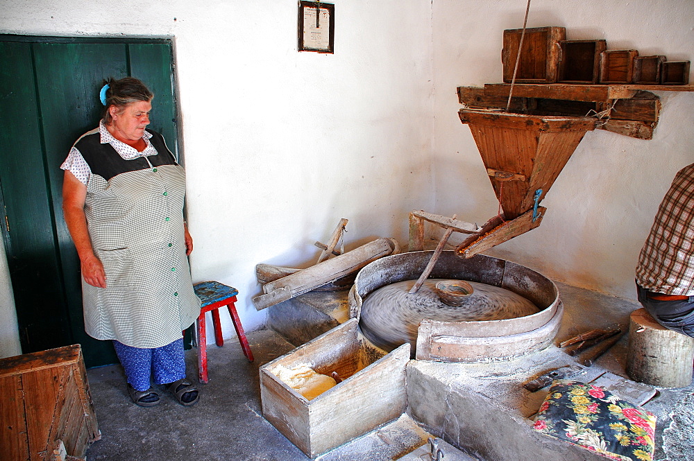 Mill near Fajazinha, West coast, Island of Flores, Azores, Portugal