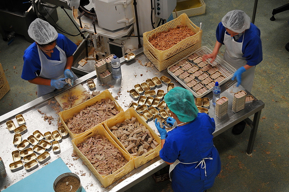 Tuna factory, Calheta on the south coast, Island of Sao Jorge, Azores, Portugal