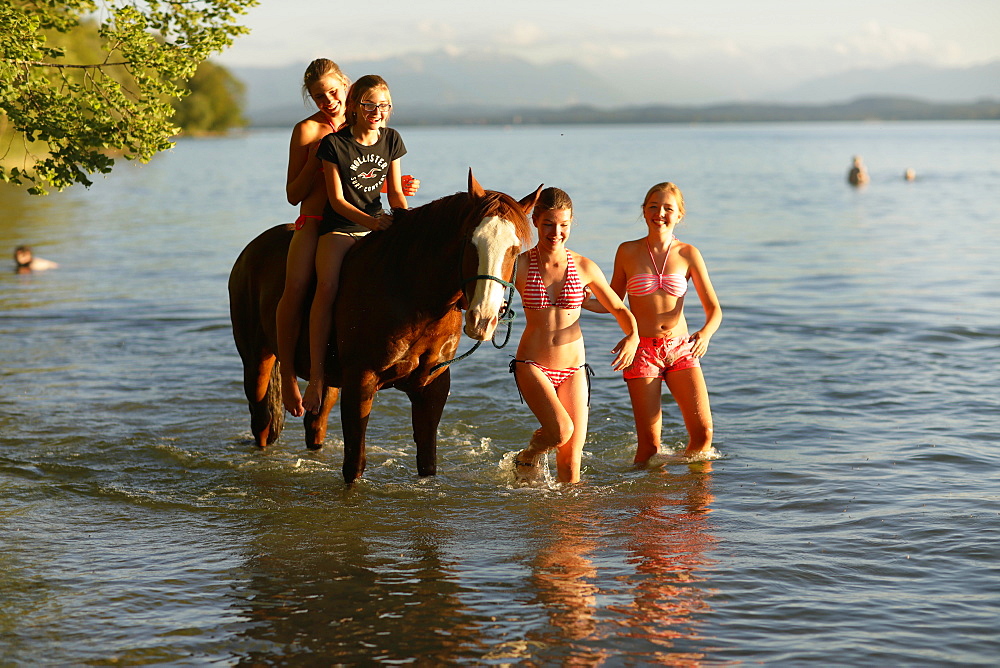 Four girls with a horse in lake Starnberg, Ammerland, Munsing, Upper Bavaria, Germany