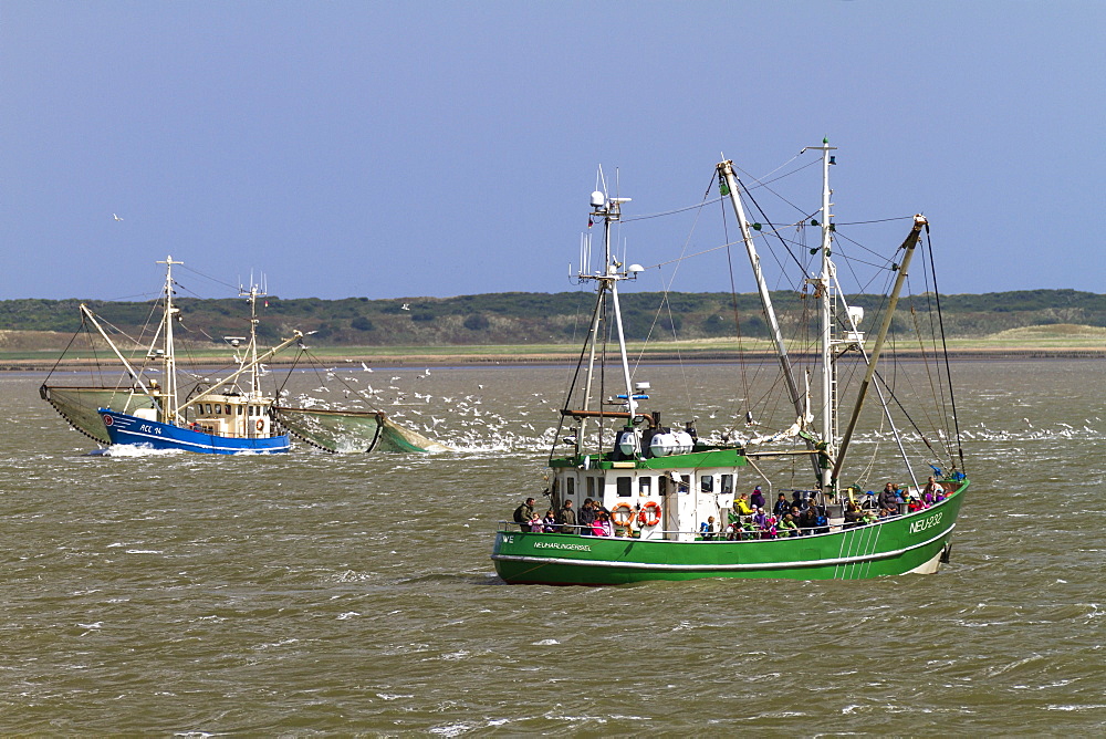 Fishing boats off Langeoog Island, North Sea, East Frisian Islands, East Frisia, Lower Saxony, Germany, Europe