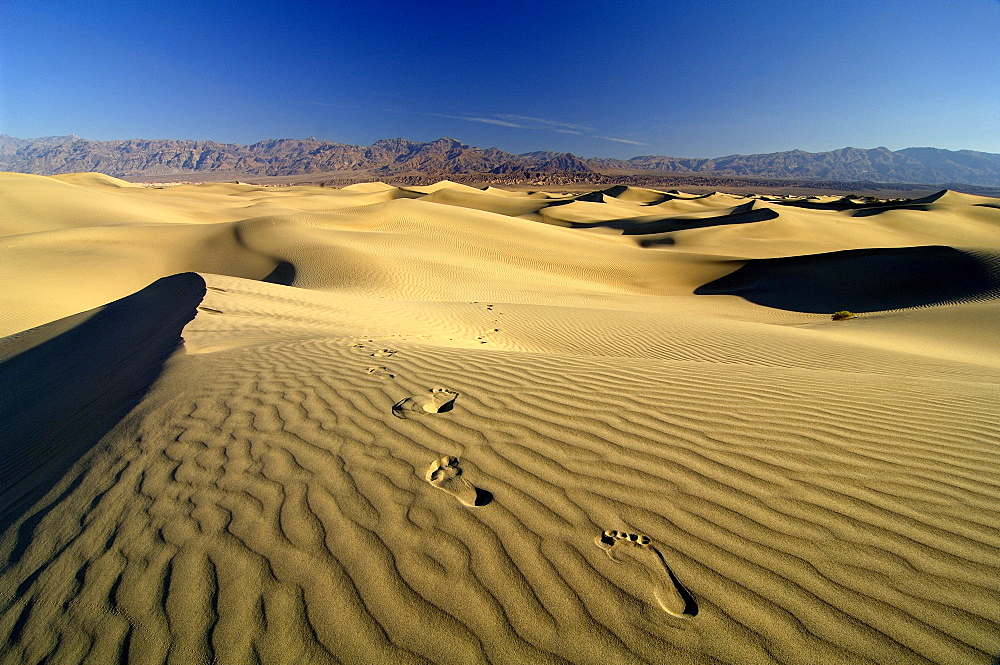 Footprints in the sand under blue sky, Death Valley, California, North America, America