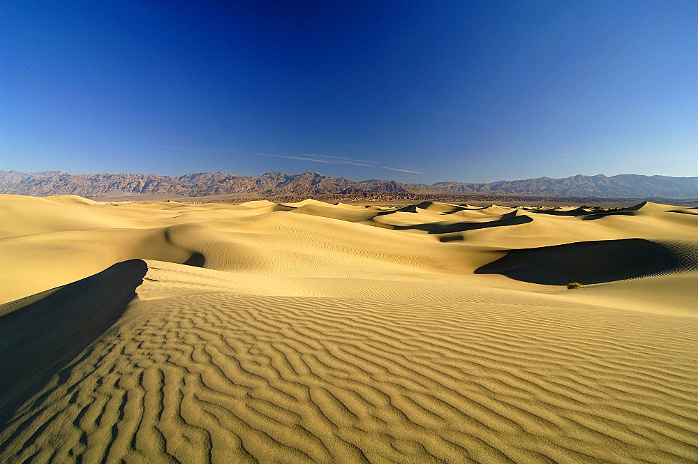 Sand dunes under blue sky, Death Valley, California, North America, America