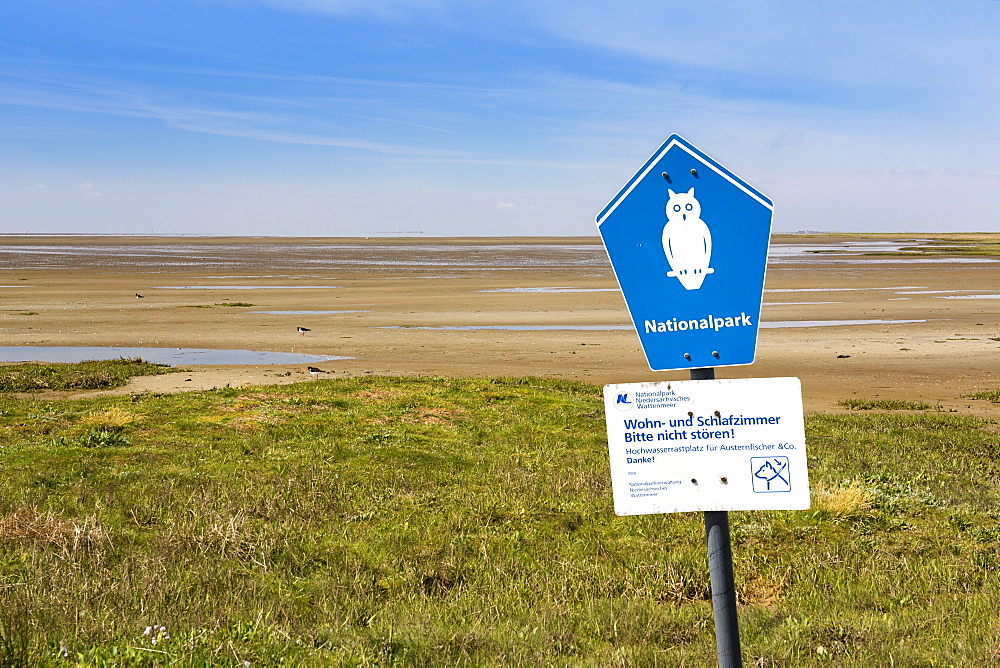 Mudflats at low tide with oystercatchers, Juist Island, Nationalpark, Unesco World Heritage Site, North Sea, East Frisian Islands, East Frisia, Lower Saxony, Germany, Europe