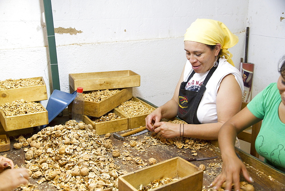 Woman cracking walnuts at Huayrapuca Nueces, Tinogasta, Catamarca, Argentina