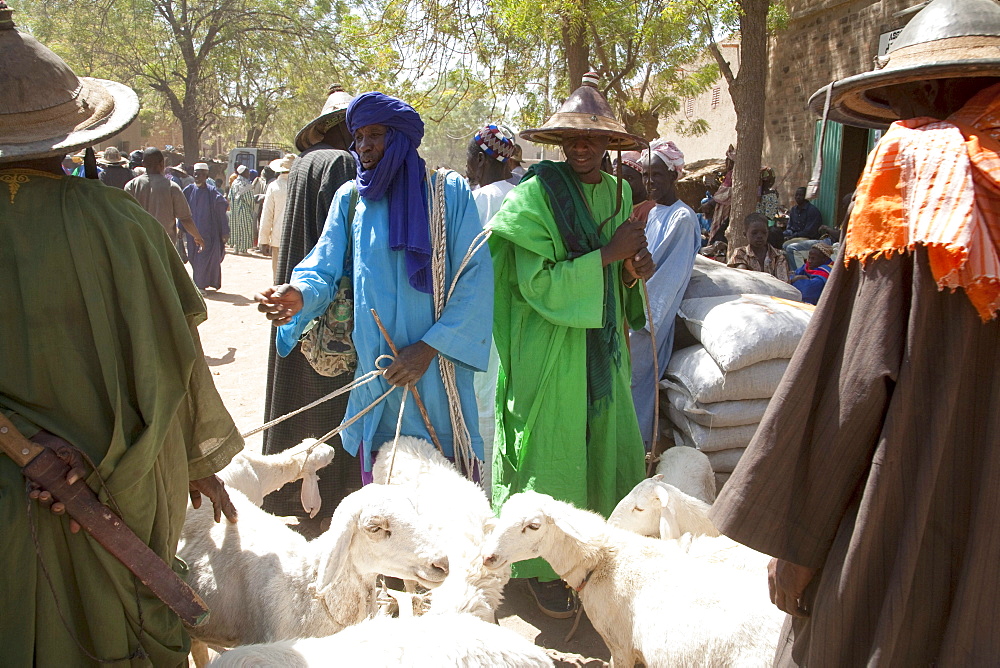 Livestock for sale at Monday Market, Djenne, Mali