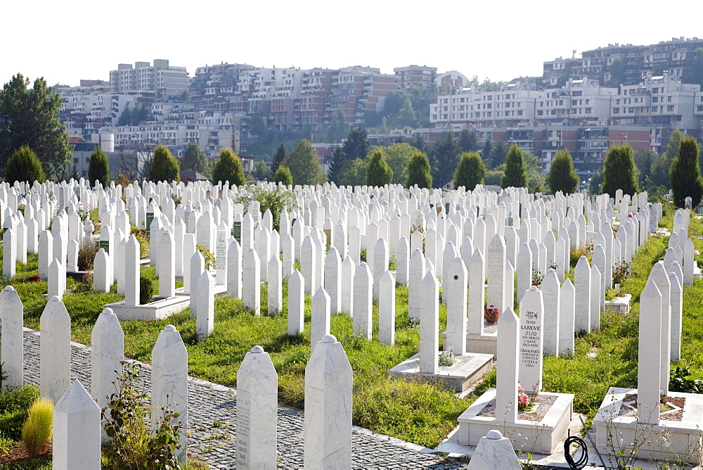 Kosevo Cemetery was built during the war on the site of former football practice pitches of Sarajevo, Bosnia & Herzegovina. The citizens of Sarajevo needed a place to bury the dead, hence this cemetery came to being; practically all the death years are similar.