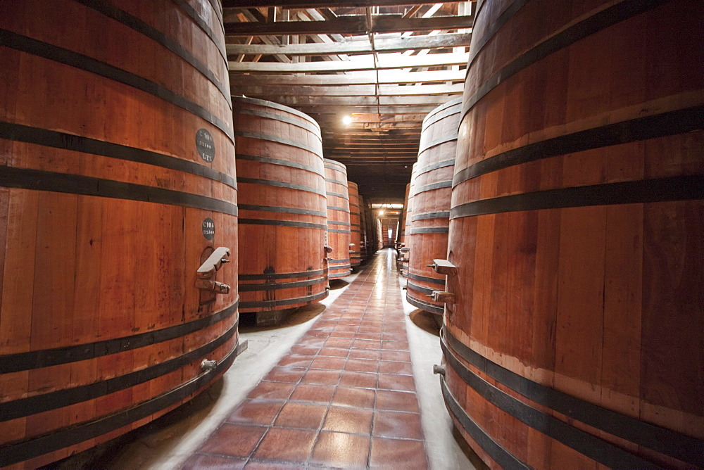 Barrels in the historic cellar of ViâˆšÂ±a CousiâˆšÂ±o Macul winery, Santiago, Regiâˆšâ‰¥n Metropolitana, Chile