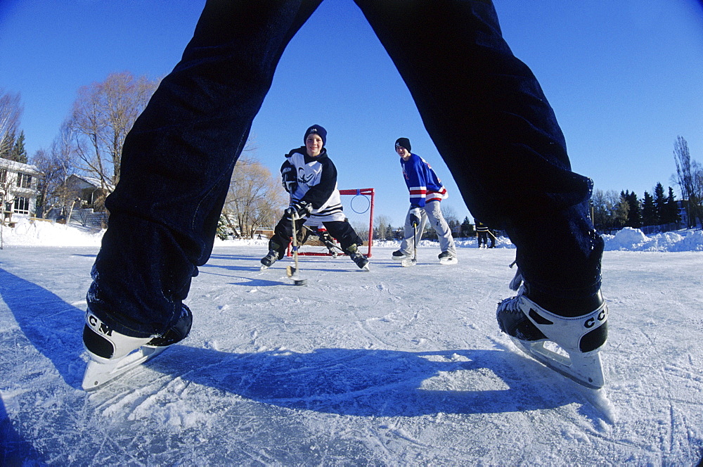 Boys Playing Hockey on Pond, Winnipeg, Manitoba