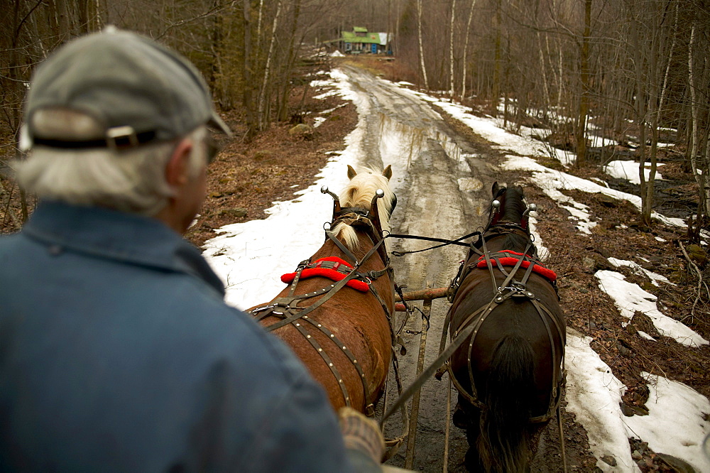 Cabane Sugar Shack, Brome-Missisquoi Region, Saint-Faustin, Quebec