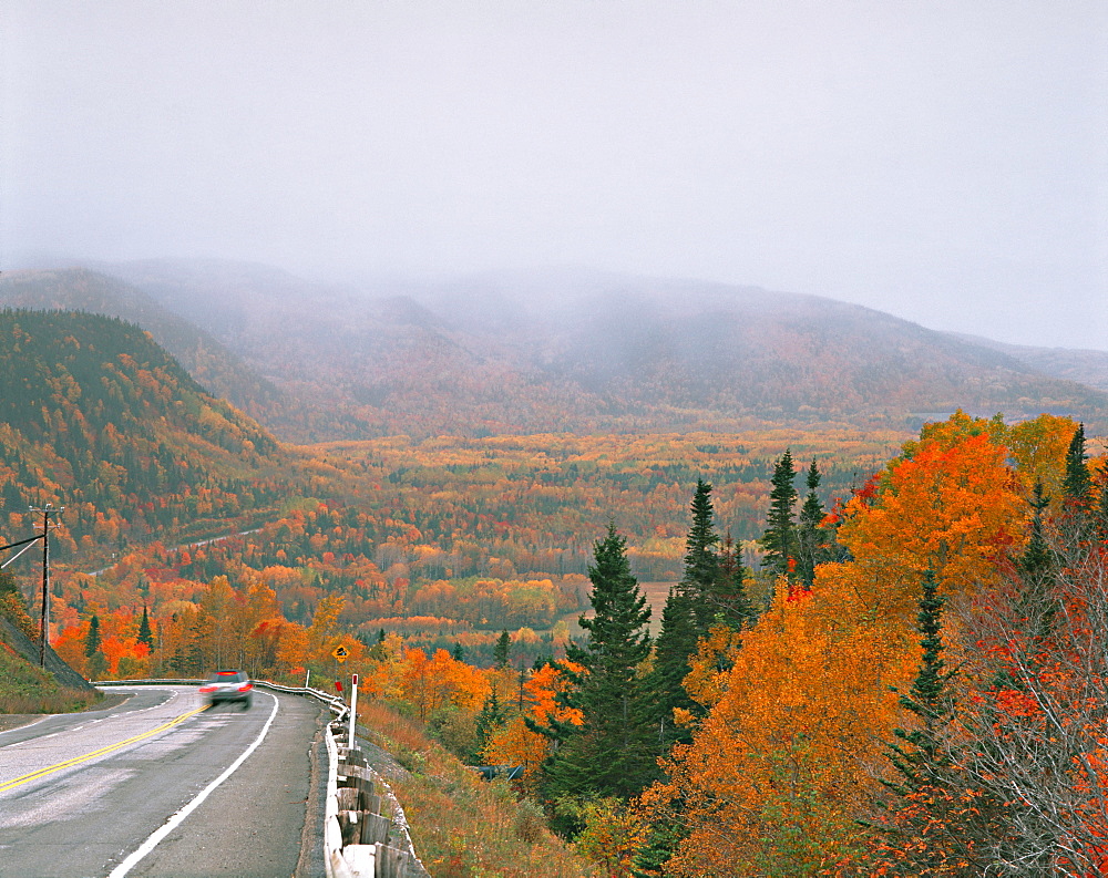 Fog in in Fall Trees, Riviere-la-Madeleine, Quebec