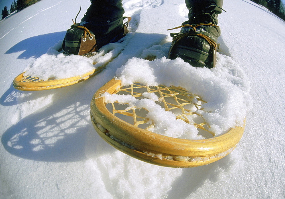 Snowshoes