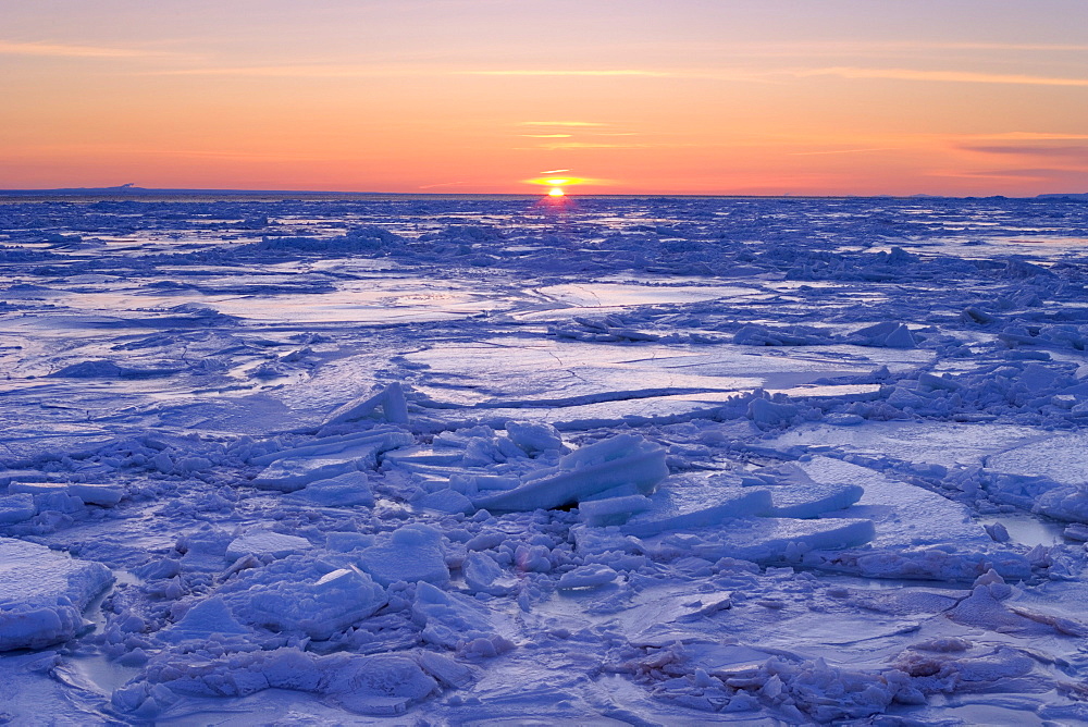 Ice Floe at Sunset, Gaspesie Region, Bonaventure, Quebec