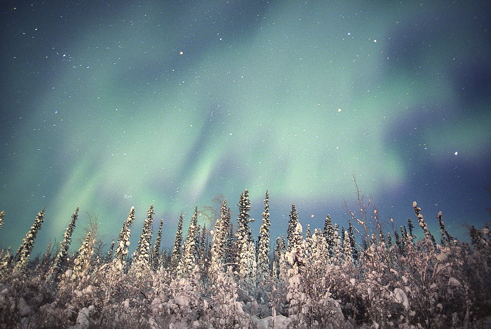 Northern Lights, Dempster highway, Yukon