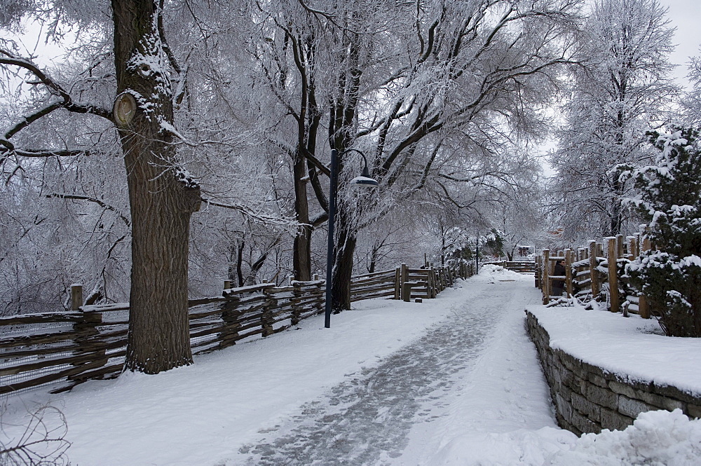 Driveway in Winter, Toronto, Ontario