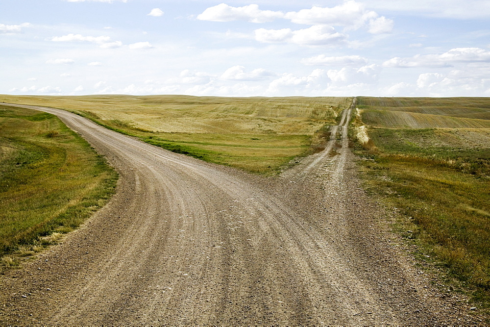 Fork in the Road, Saskatchewan