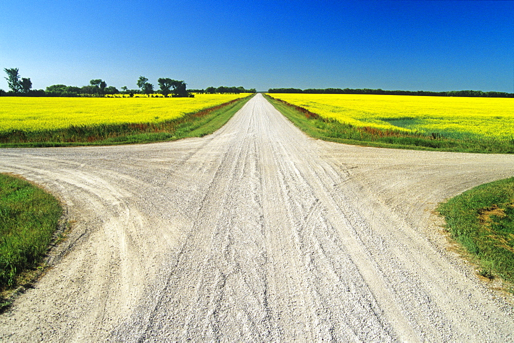 Intersection in a Gravel Road, Niverville ,Manitoba