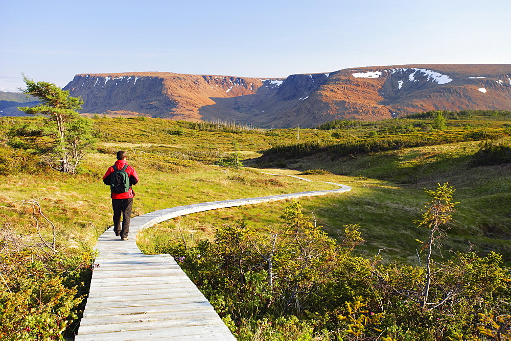 Hiker on Lookout Trail and Tablelands, Gros Morne National Park, Newfoundland