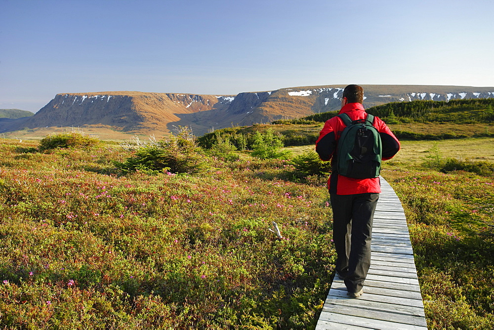 Hiker on Lookout Trail and Tablelands, Gros Morne National Park, Newfoundland