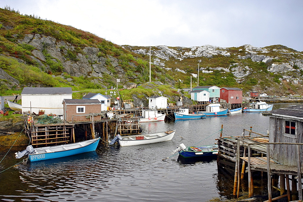 View of Boats in Harbour, Diamond Cove, Newfoundland