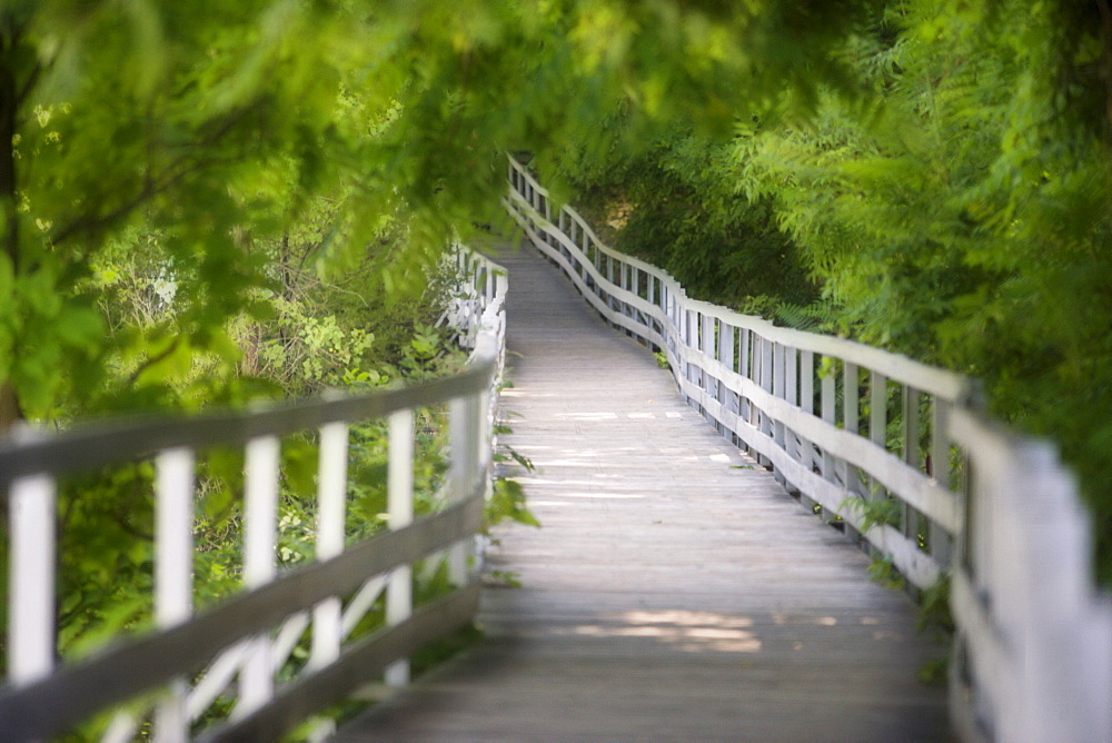 The 'Whitewater Walk' Boardwalk Trail, Niagara Falls, Ontario, Canada