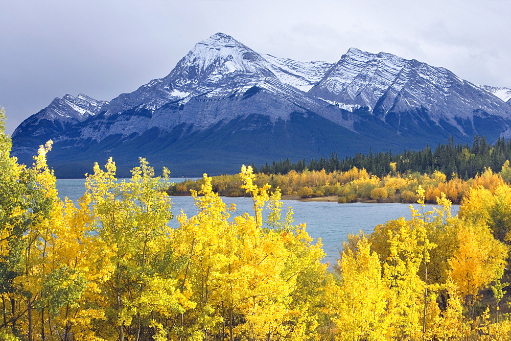 Lake Abraham and Eliot Peak, Kootenay Plains, Alberta, Canada