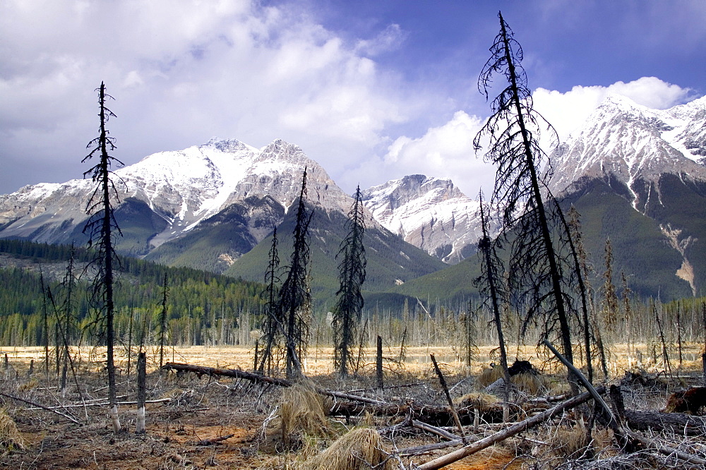 Mt. Vaux and Chancellor Peak, Yoho National Park, British Columbia, Canada