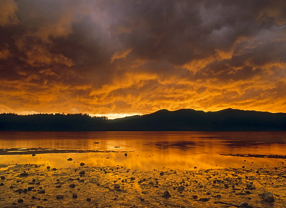 Porpoise Bay Provincial Park, Sechelt, Sunshine Coast, British Columbia, Canada