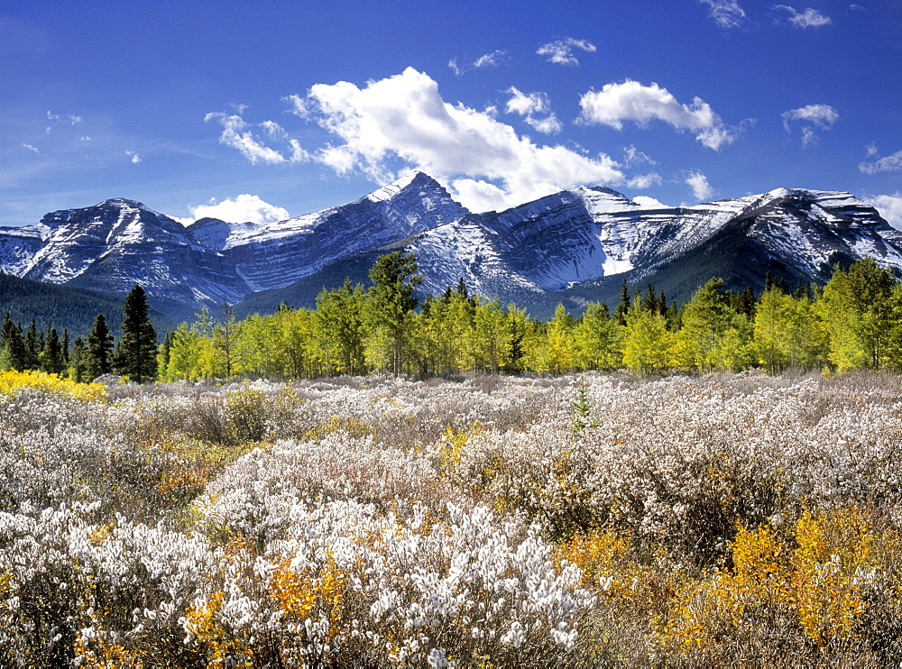 Little Elbow River Valley, Kananaskis Country, Alberta, Canada