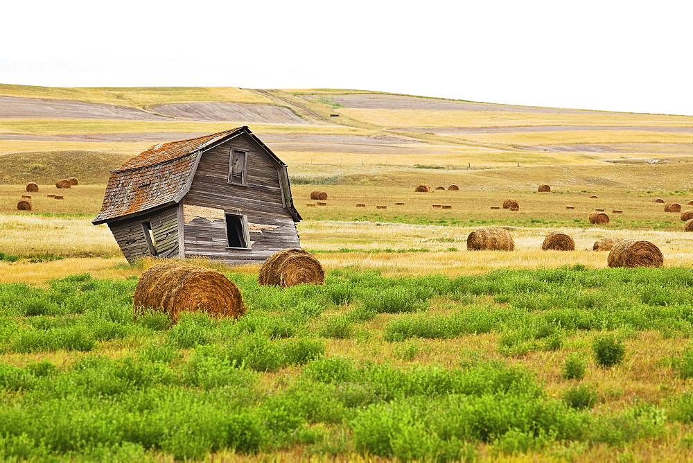 Twisted Barn on Canadian Prairie, Big Muddy Badlands, Saskatchewan