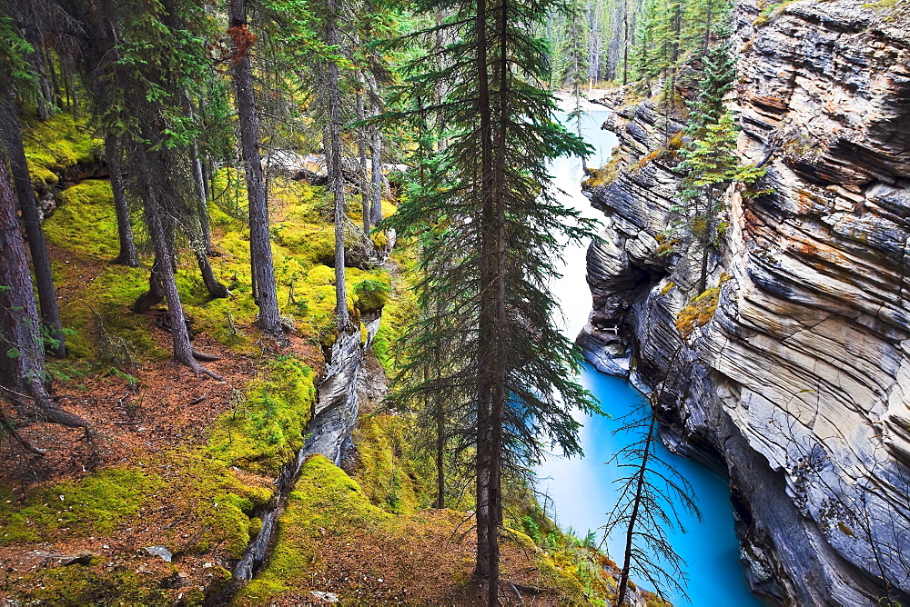 Athabasca Falls/River, Jasper National Park, Alberta