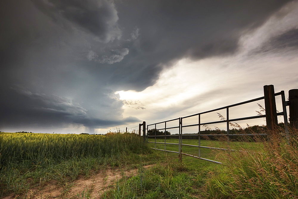 Rolling thunder clouds on summer afternoon, Alberta