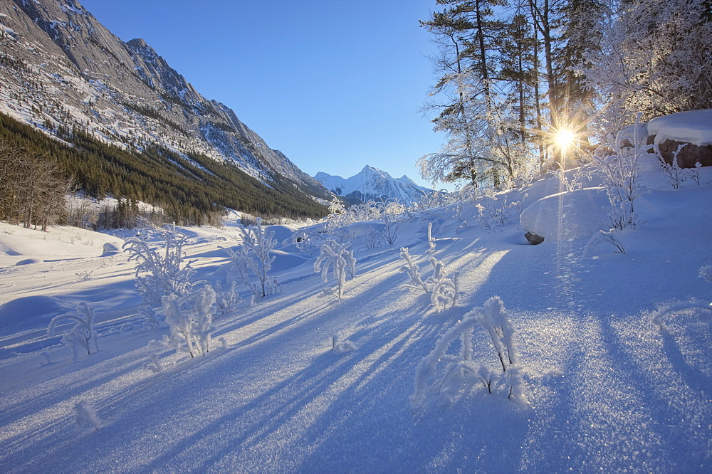 Sunlight breaking through trees on snow-covered Medicine Lake, Jasper National Park, Alberta