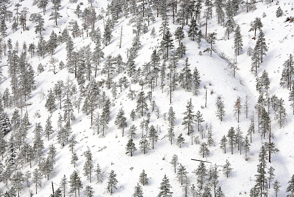 Winter scenic of mountain ridges above Thompson river, near Spences Bridge, British Columbia