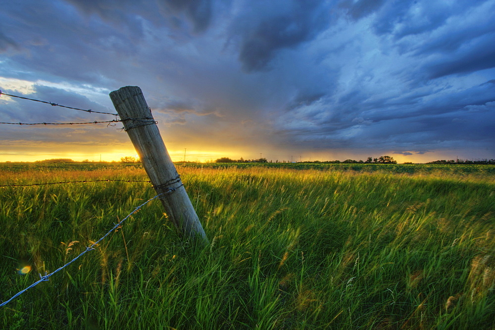 Summer thunderstorm and fencepost on a wheat farm north of Edmonton, Alberta.