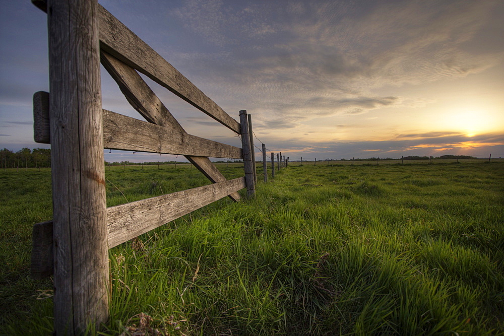 Fenceline along a Cow Pasture on the Prairies at Sunset, near Edmonton, Alberta