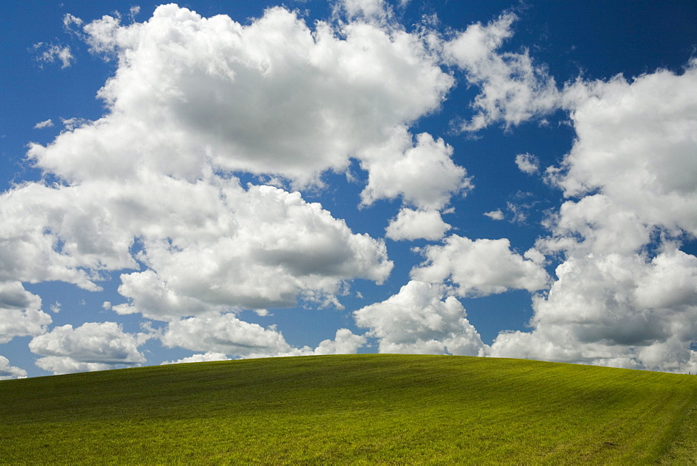 Clouds and Passing Shadow over Green Field, Avondale, Nova Scotia
